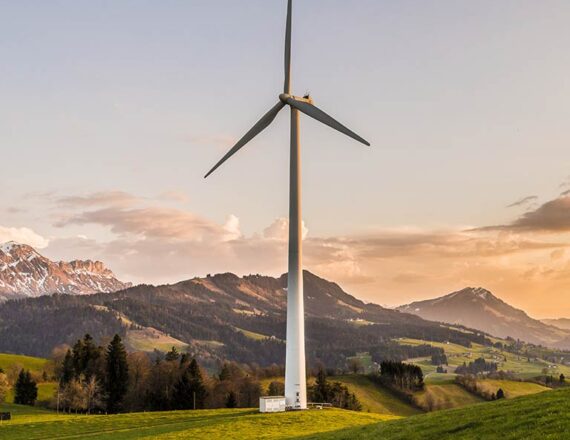 project_image_10 project image